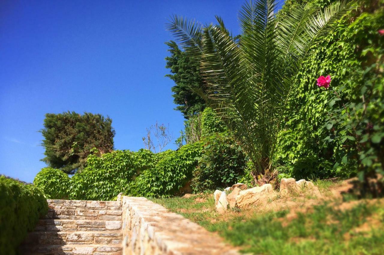 Harmony Maisonette شينياس المظهر الخارجي الصورة